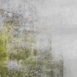 Brosse Nylon Fartools A36 D120mm Gr 36 Vert Pour Nettoyer Et Décrasser 7 Brosse Nylon Fartools A36 D120mm Gr 36 Vert Pour Nettoyer Et Décrasser -Kobleo brosse nylon fartools a36 d120mm gr 36 vert pour nettoyer et decrasser 3