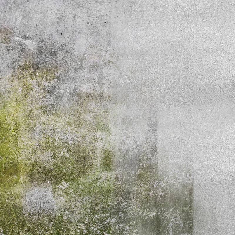 Brosse Nylon Fartools A36 D120mm Gr 36 Vert Pour Nettoyer Et Décrasser 4 Brosse Nylon Fartools A36 D120mm Gr 36 Vert Pour Nettoyer Et Décrasser – Image 4