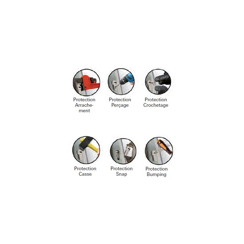 Cylindre à Bouton 45 X 50 Mm Nickelé Mat Avec 3 Clés FEDERAL 2 2 Cylindre à Bouton 45 X 50 Mm Nickelé Mat Avec 3 Clés FEDERAL 2 – Image 2