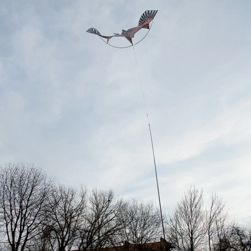 Effaroucheur Volant Ribimex Tenu Par Piquet Au Sol 1,75m D'envergure 5 Effaroucheur Volant Ribimex Tenu Par Piquet Au Sol 1,75m D'envergure – Image 5