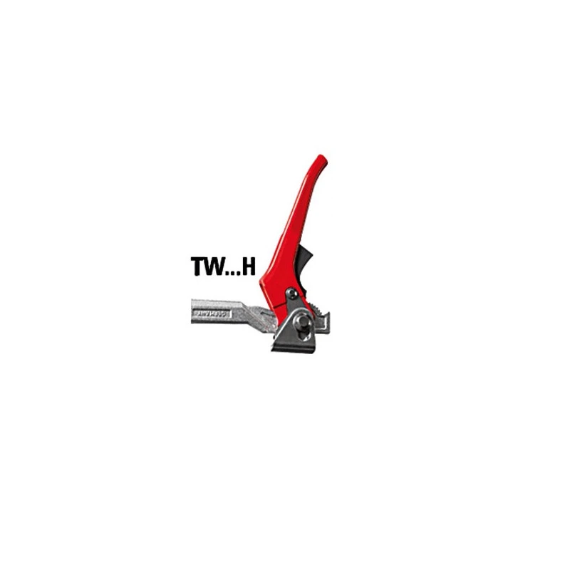 BESSEY Elément Serrage Tables Soudage TW16 200/100 (levier) 200mm Max TW16-20 1 BESSEY Elément Serrage Tables Soudage TW16 200/100 (levier) 200mm Max TW16-20