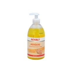 Aexalt Flacons De 500 Ml Lotion Nettoyante Pour Les Mains Parfum Notes Boisée