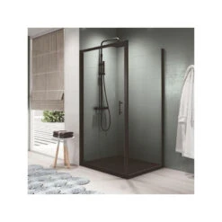 Porte Douche Pivotante 86-92xH195 CmVerre Transparent Profilé Noir ZEP