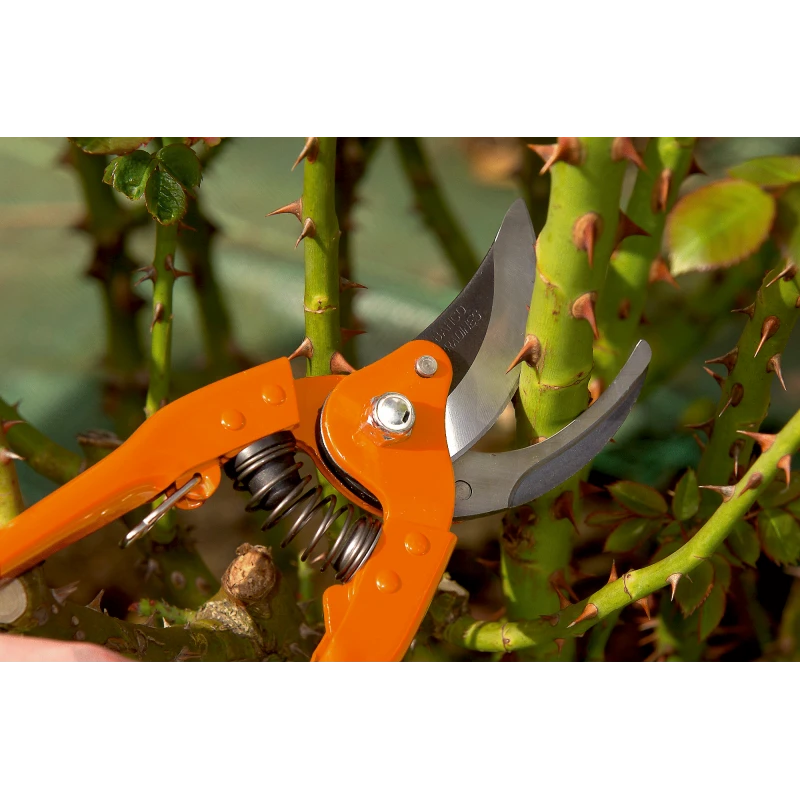 Sécateur à Lames Croisantes Bahco P110-23-F 230mm Capacité De Coupe 25mm 6 Sécateur à Lames Croisantes Bahco P110-23-F 230mm Capacité De Coupe 25mm – Image 6