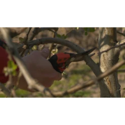 Bahco Sécateur ERGO™ Taille M Coupe 15 Mm Avec Poignée Tournante PXR-M1 11 Bahco Sécateur ERGO™ Taille M Coupe 15 Mm Avec Poignée Tournante PXR-M1 -Kobleo secateur ergo tm taille m coupe 15 mm avec poignee tournante pxr m1 bahco 5