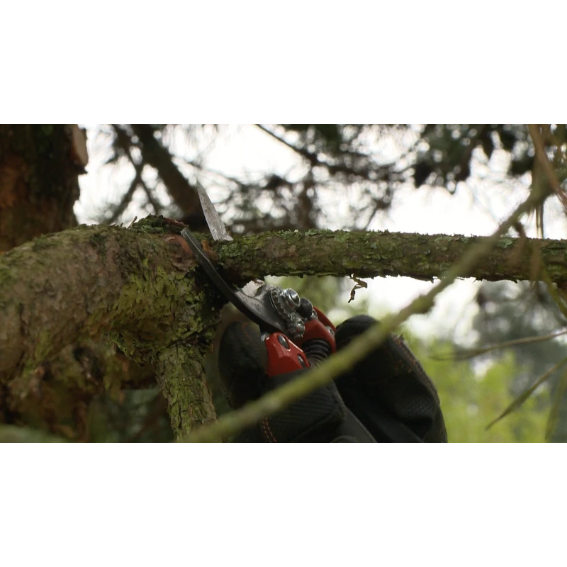 Bahco Sécateur ERGO™ Taille M Coupe 20 Mm Avec Poignée Tournante PXR-M2 5 Bahco Sécateur ERGO™ Taille M Coupe 20 Mm Avec Poignée Tournante PXR-M2 – Image 5