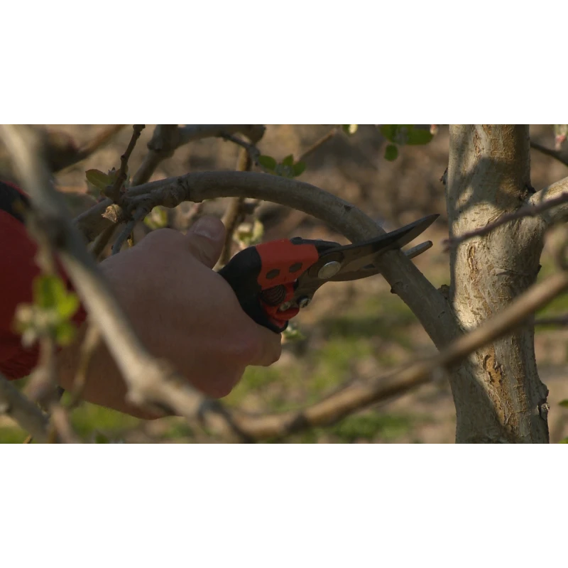 Bahco Sécateur ERGO™ Taille M Coupe 30 Mm Avec Poignée Tournante PXR-M3 6 Bahco Sécateur ERGO™ Taille M Coupe 30 Mm Avec Poignée Tournante PXR-M3 – Image 6